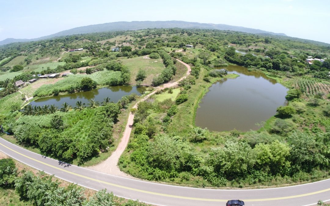 Venta Finca Ganadera y Agricultora Tubará Atlantico Colombia